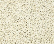 eggshell_compressed
