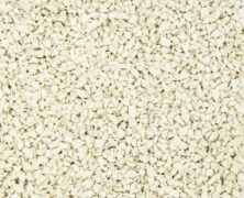 Close-up of a textured surface covered with small, irregular, off-white granules or crushed pieces densely packed together.
